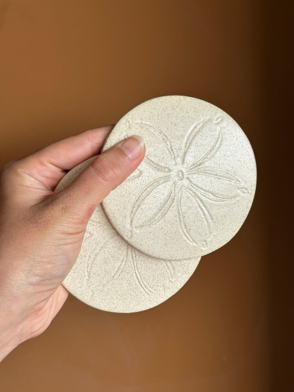 Sand Dollar Coaster (Set of 2)