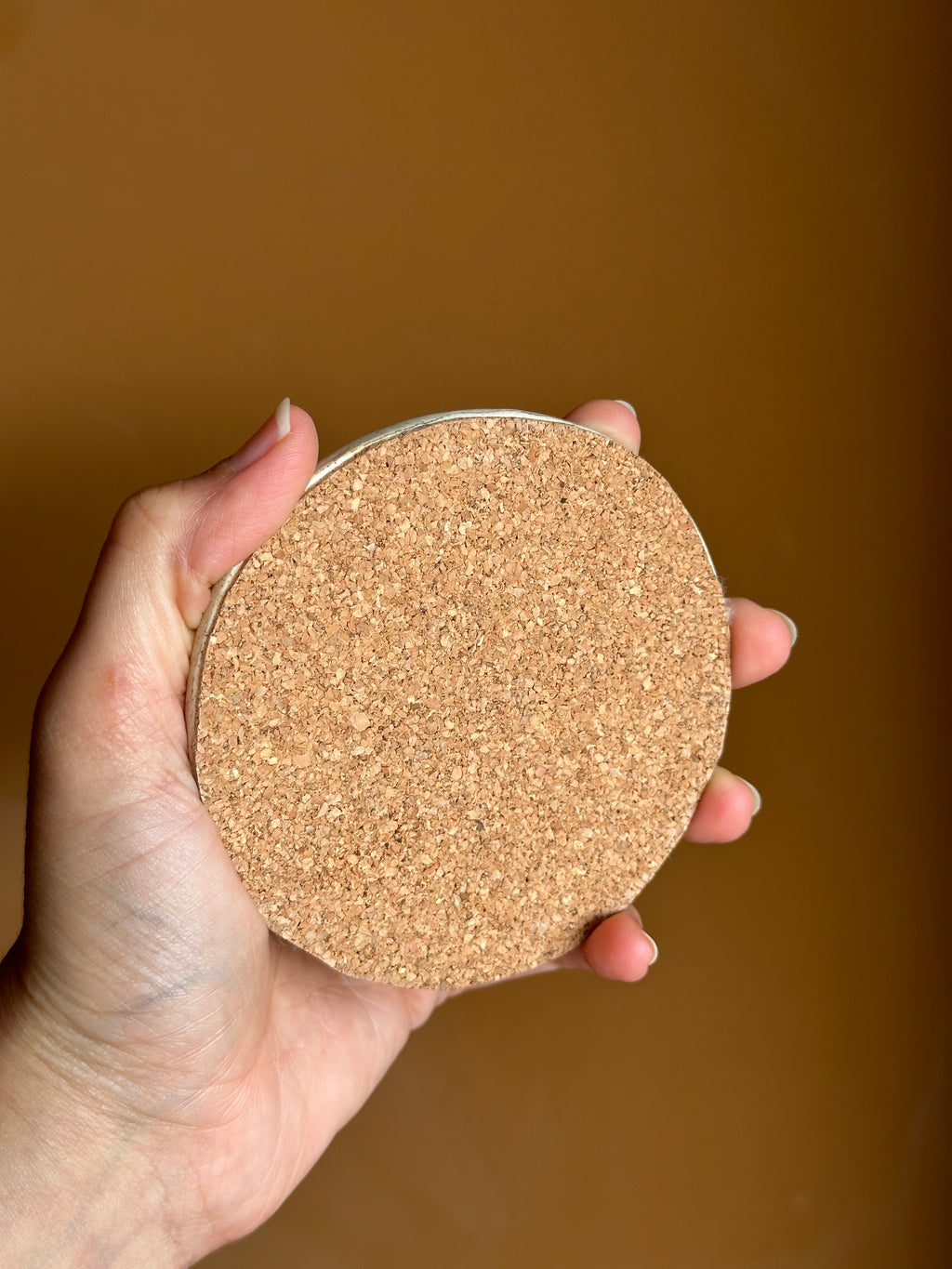 Sand Dollar Coaster (Set of 2)