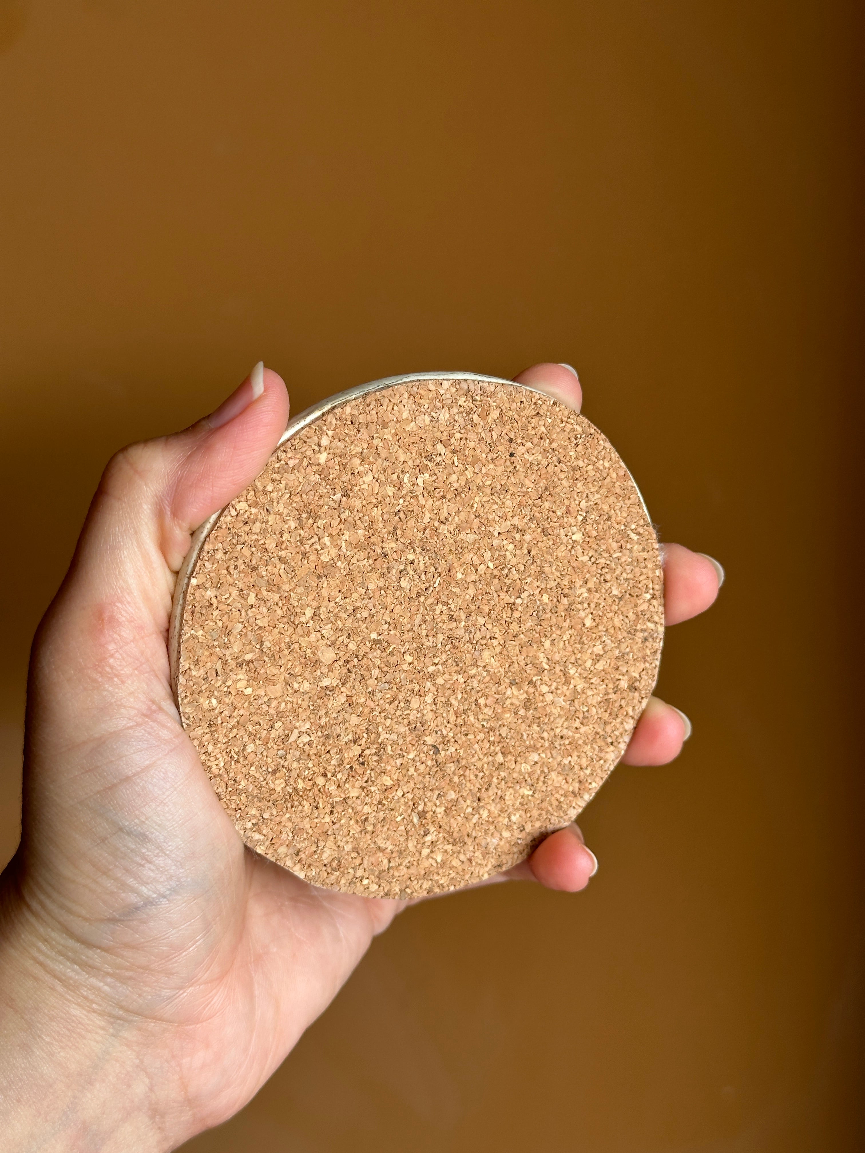 Sand Dollar Coaster (Set of 2)