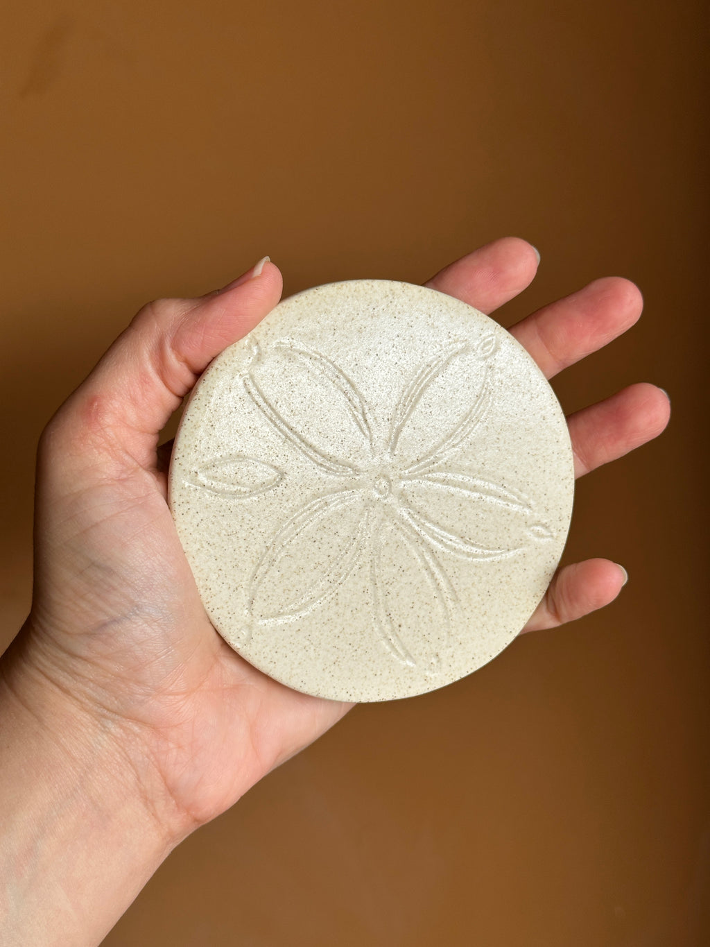 Sand Dollar Coaster (Set of 2)