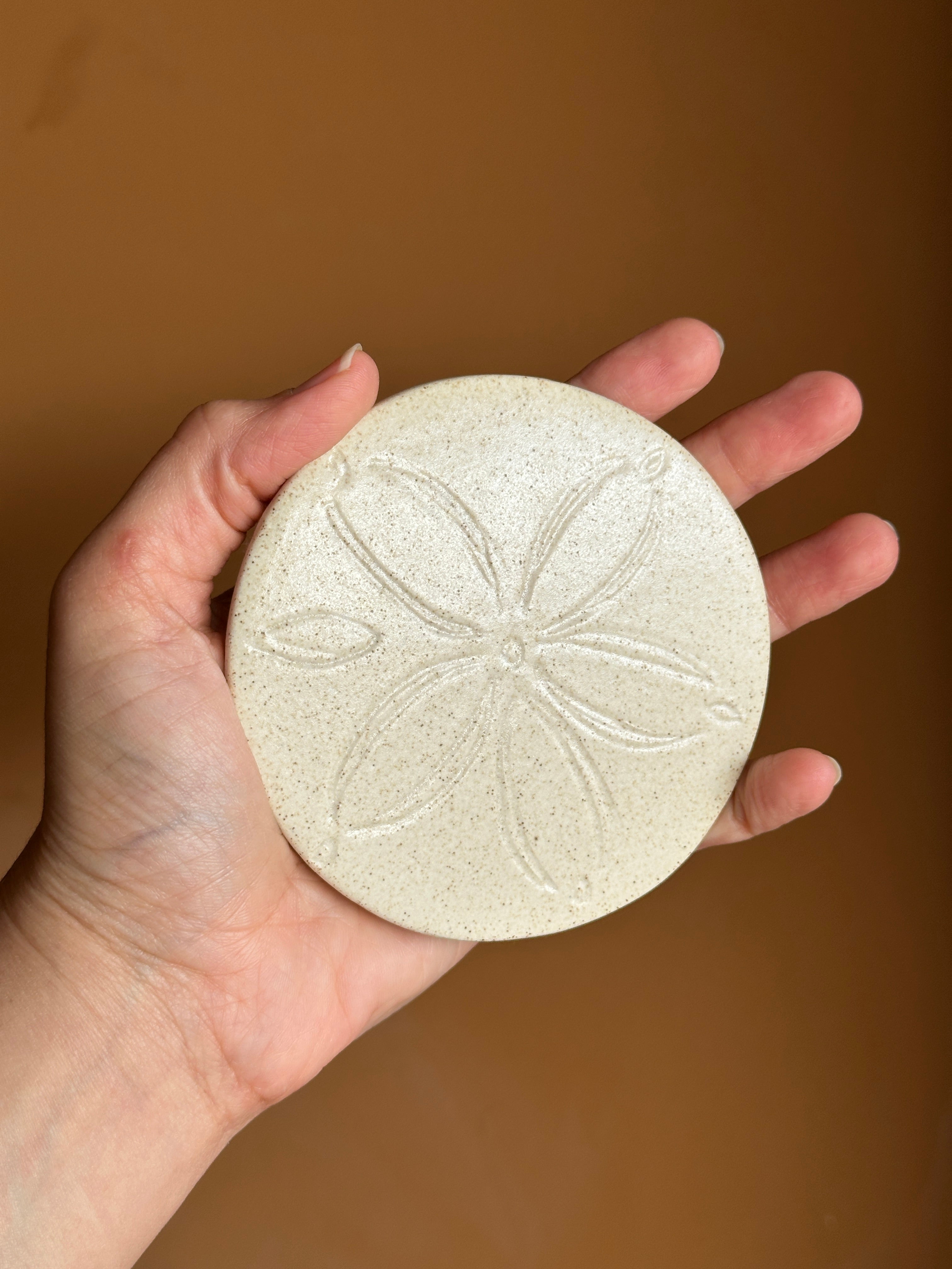 Sand Dollar Coaster (Set of 2)